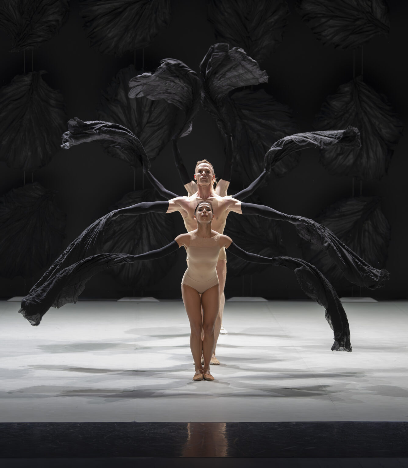 Et aussi autour du stage - Les Saisons - ballet de Thierry Malandain